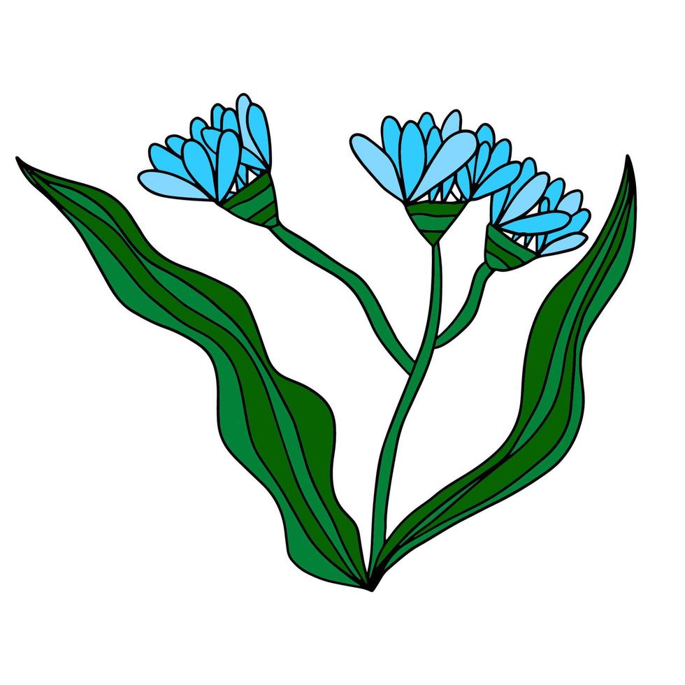 Fantasy cartoon doodle flower with leaves isolated on white background. vector
