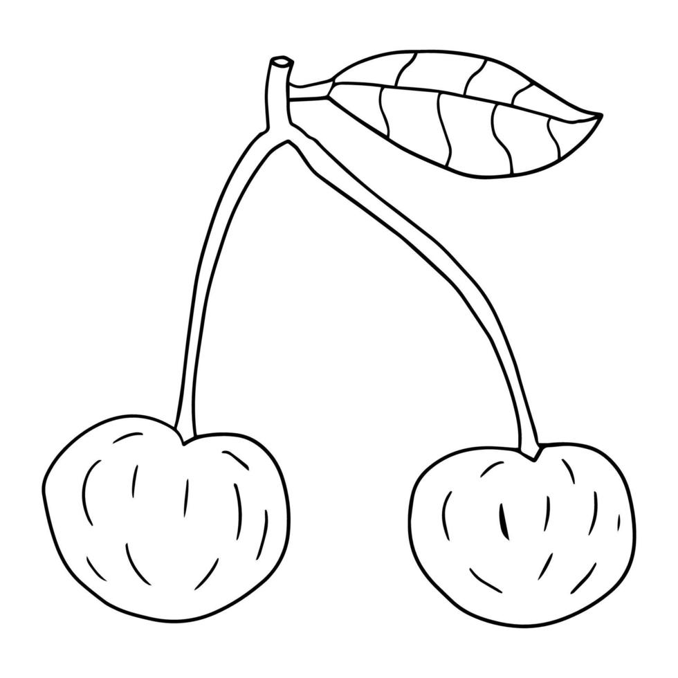 cereza linda de dibujos animados en estilo doodle. frutas aisladas sobre fondo blanco. vector