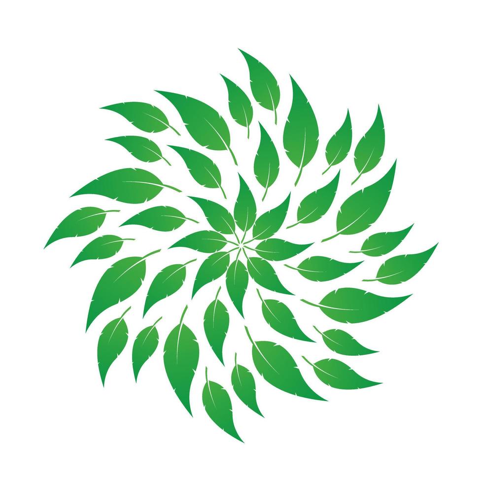 Groups of leaves circle moving design on white background, and a nature leaves whirling abstract, vector and illustration design.
