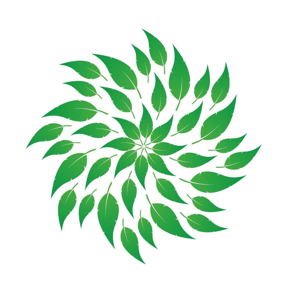 Groups of leaves circle moving design on white background, and a nature leaves whirling abstract, vector and illustration design.