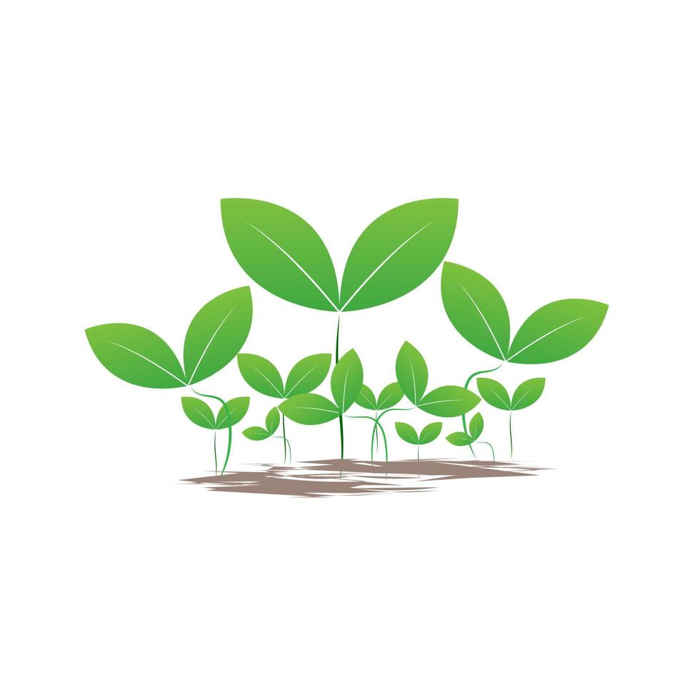grupos de diseño de semillas verdes utilizados en el logotipo de la planta y el diseño de plantillas de elementos agrícolas, estilo de icono de semilla verde ecológica, vector e ilustración.