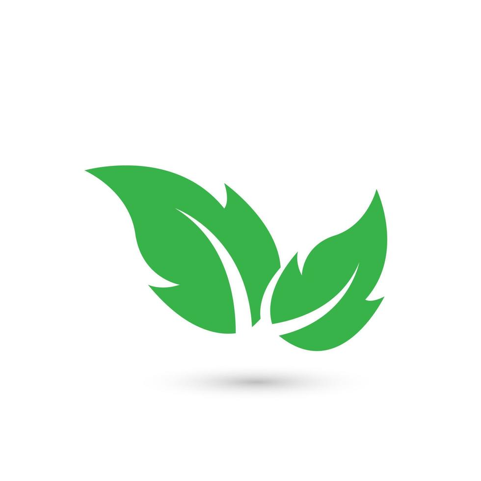 Two green leaves in icon design, nature leaf logo, geometrical abstract leaves logo, icon, symbol, object. and Bio eco template style of modern leaf vector, illustration vector