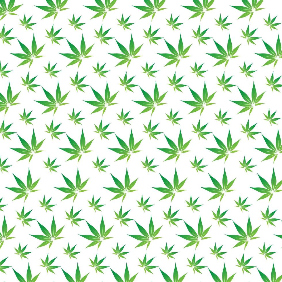 pattern background of green leaves isolated design, Green herb leaves texture templaes on white background, a vector, illustration template. vector