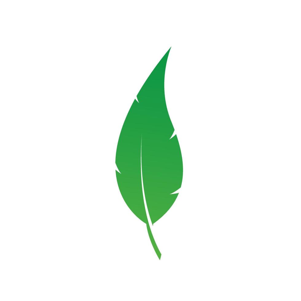 Beautiful gradient green leaf isolated design, leaf icon, symbol and vector of ntural green leaf style, Ecology environment.