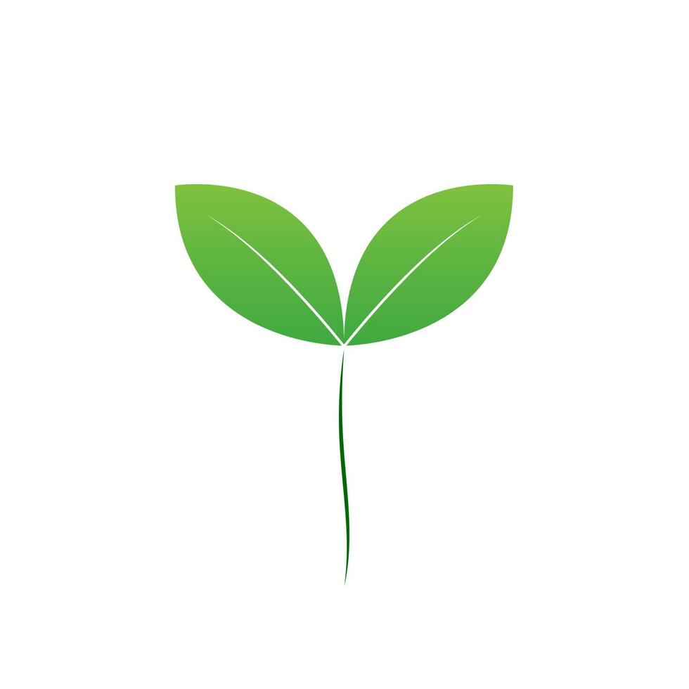 A seed of green leaf vector, micro green seed icon design and fresh natural green baby vegetable seed isolated item. vector