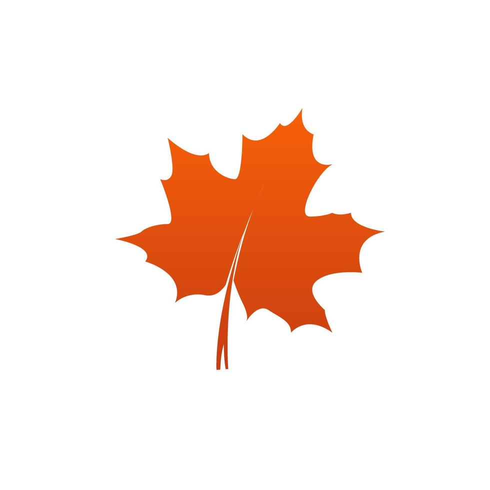 A Red maple leaf on white background. autumn leaf of maple symbol as a seasonal themed concept used in icon, logo of the fall weather on an isolated vector, illustration vector