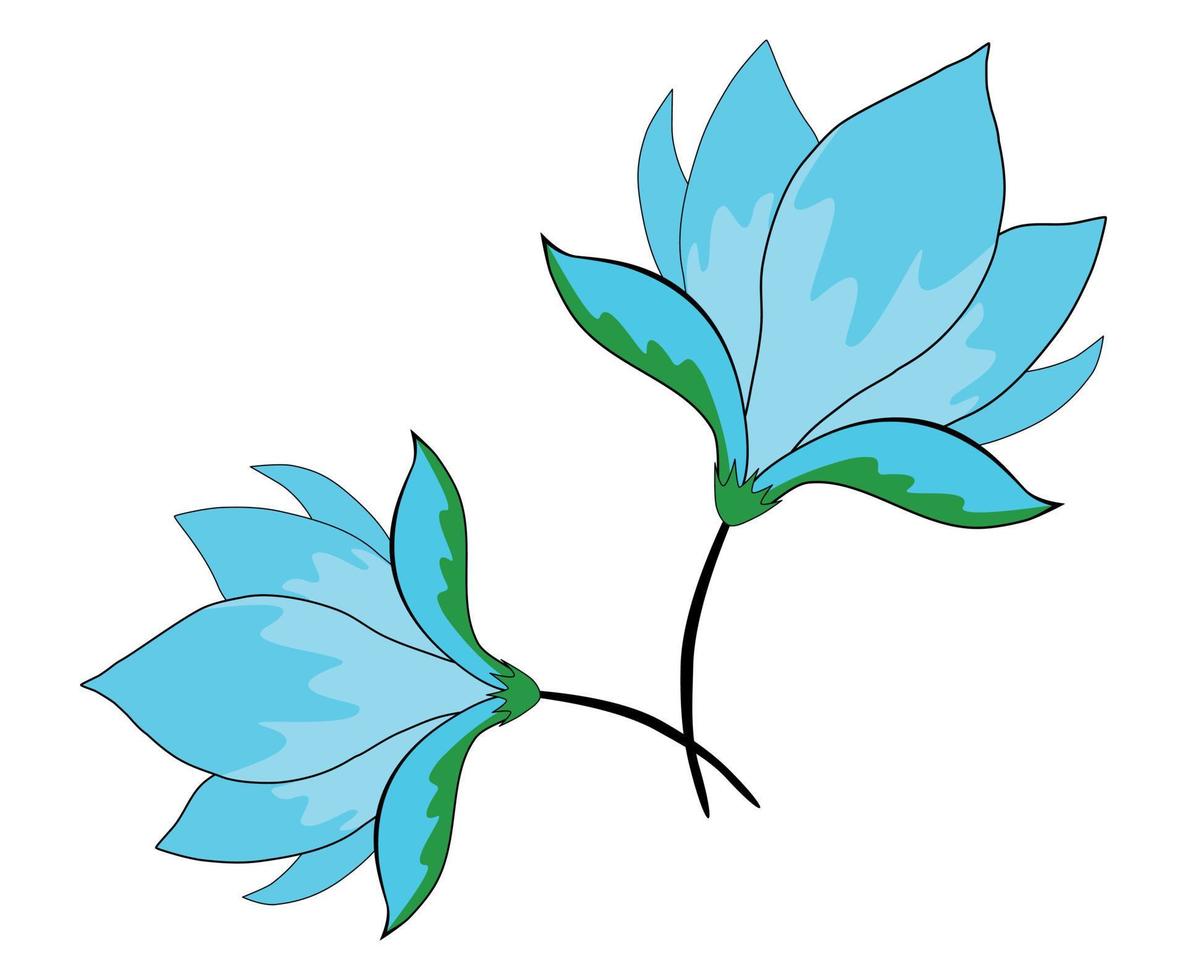 vector illustration, two blue flowers on a white background.