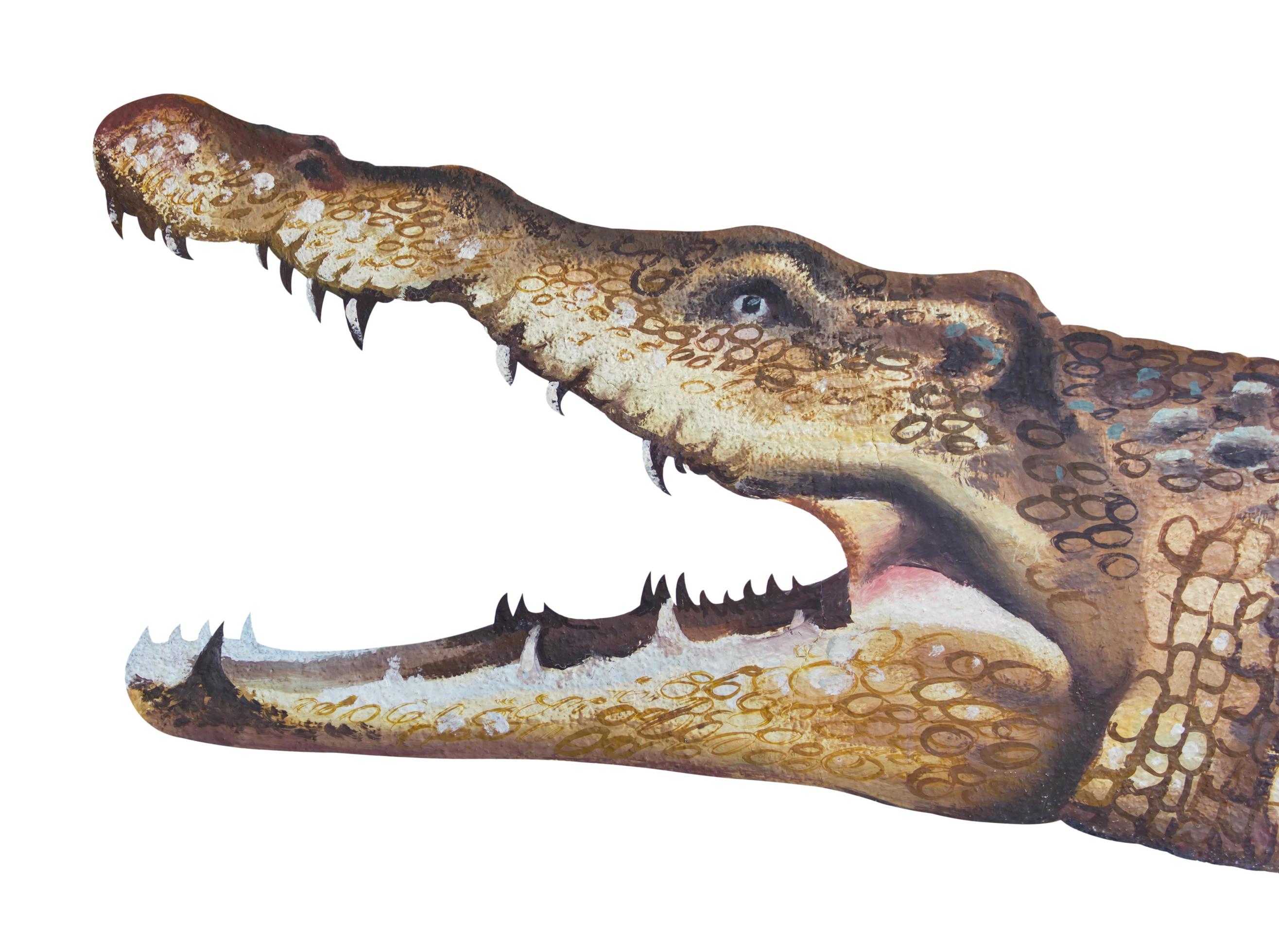 Isolates of drawing crocodile's mouth. 7188749 Stock Photo at Vecteezy