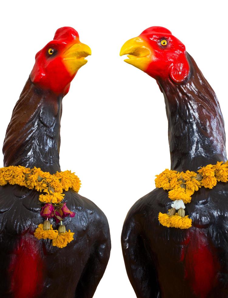 Isolates of the statue, a black chicken. photo