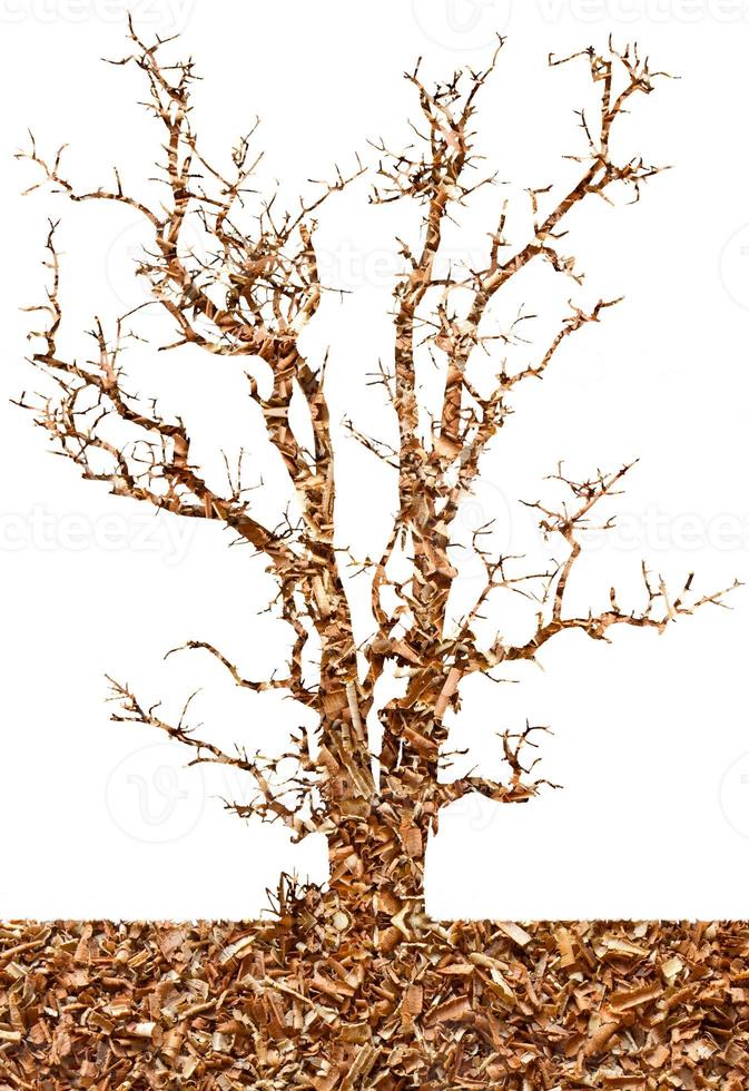 Abstract isolates of sawdust in the dry tree. photo
