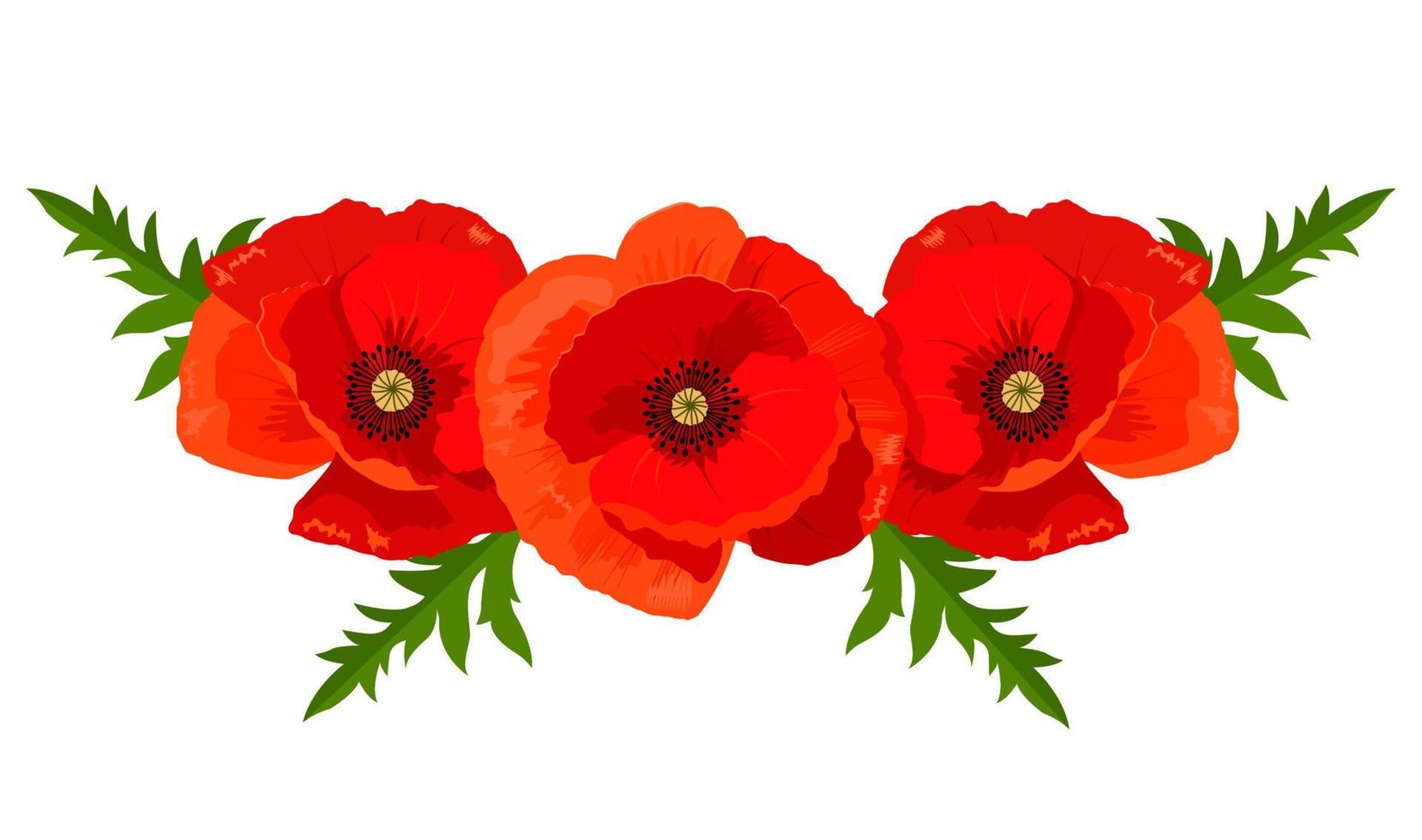 Vector illustration of red poppies for the design of banners, invitations and postcards.