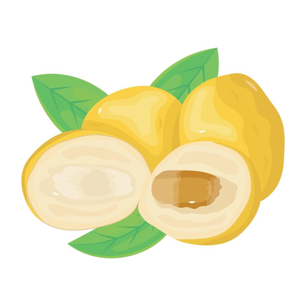 Get hold of this isometric icon of unripe dates vector