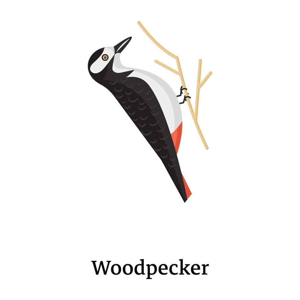 A captivating flat icon of woodpecker vector
