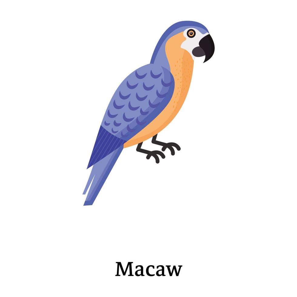 Download premium flat icon of macaw vector