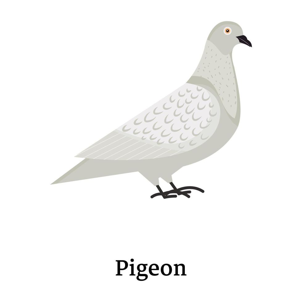 An editable flat icon of pigeon in vector format