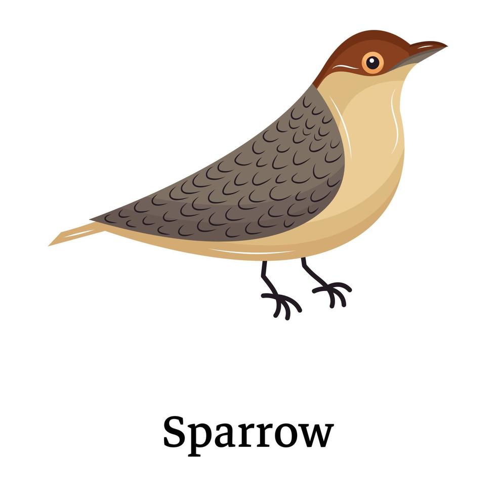 Catch a sight of this beautiful sparrow icon, flat vector