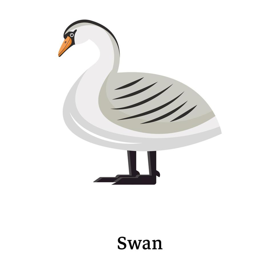 Modern flat icon of swan is up for premium use vector