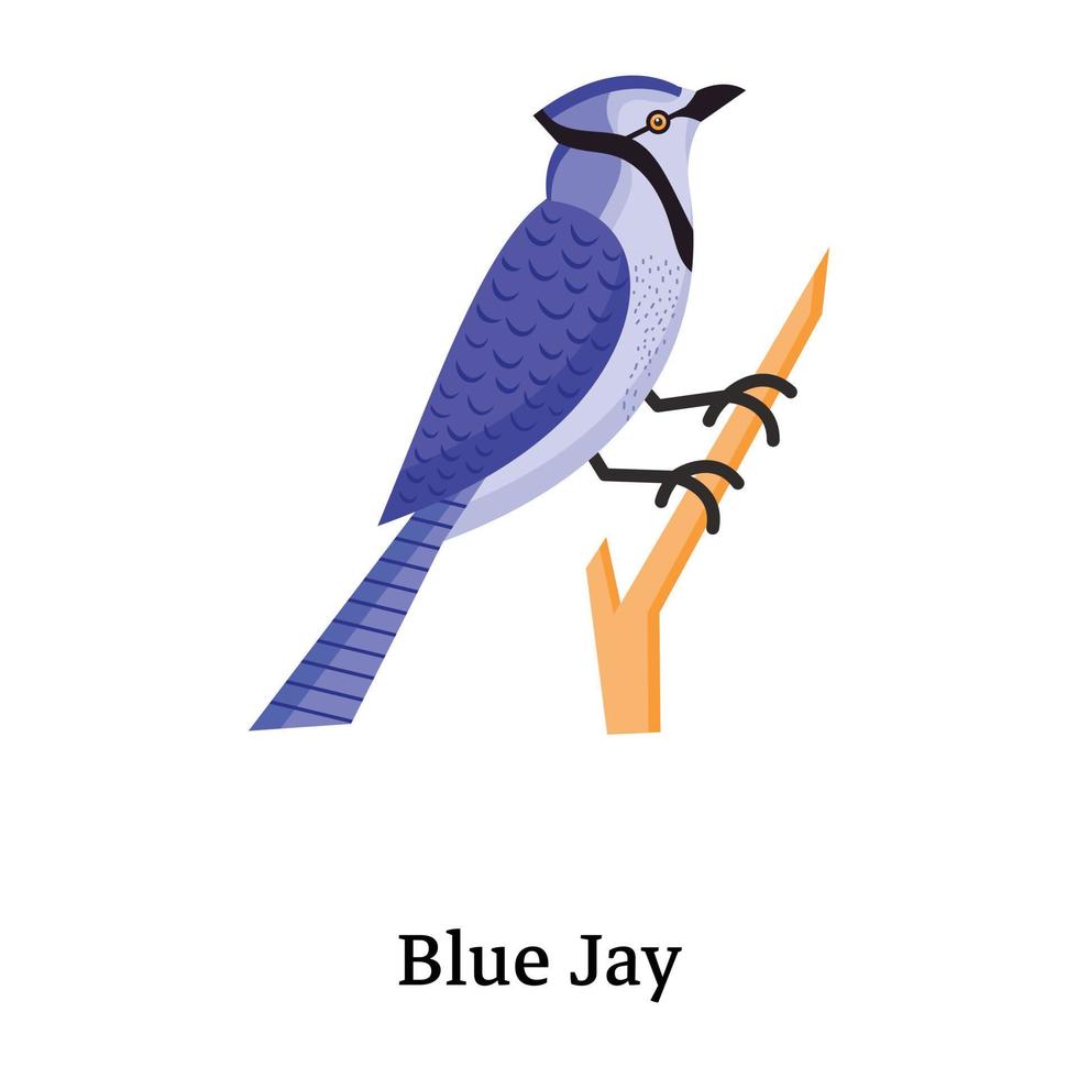 descargue el icono plano bellamente diseñado de blue jay vector