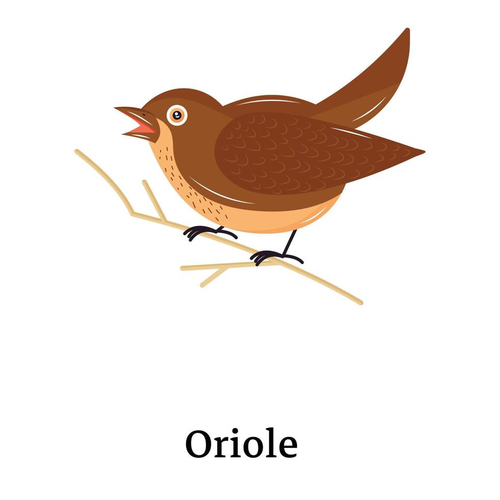 Beautifully designed flat icon of oriole vector