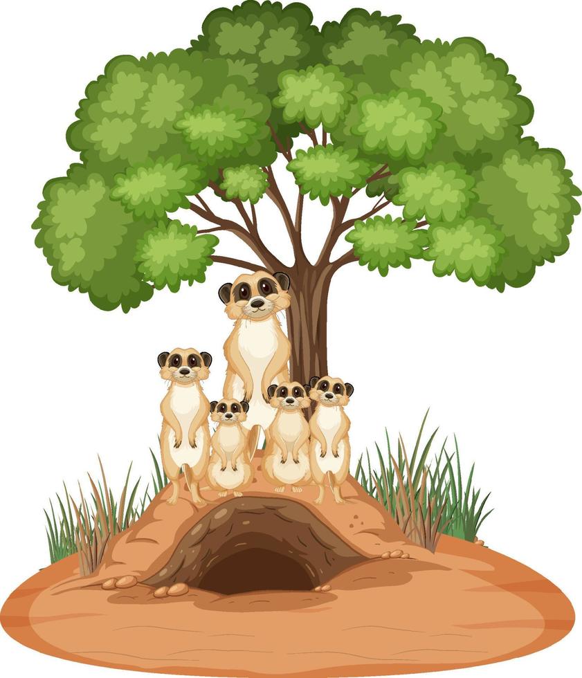 Group of meerkats with burrow in cartoon style vector