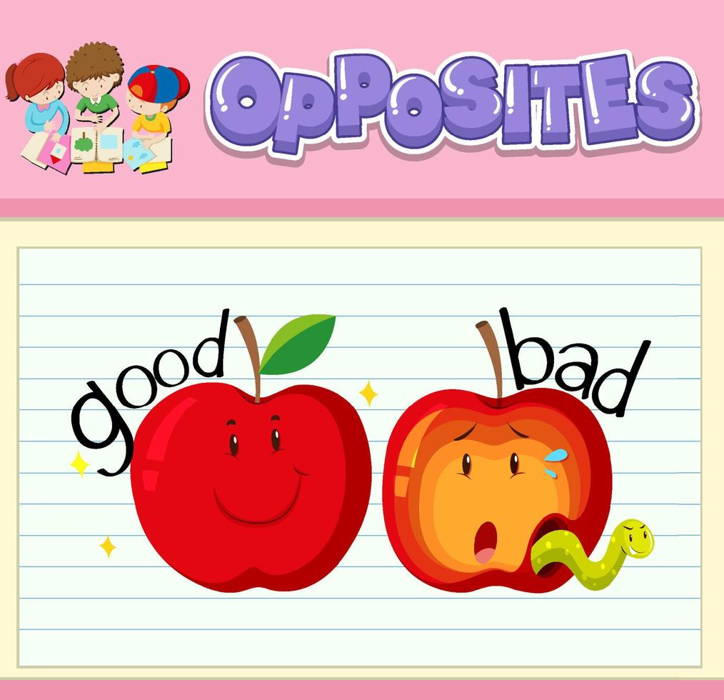 Opposite words with pictures for kids vector