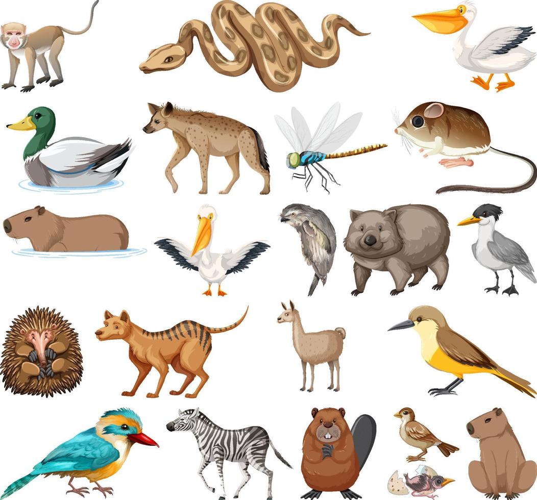 colección de diferentes tipos de animales vector