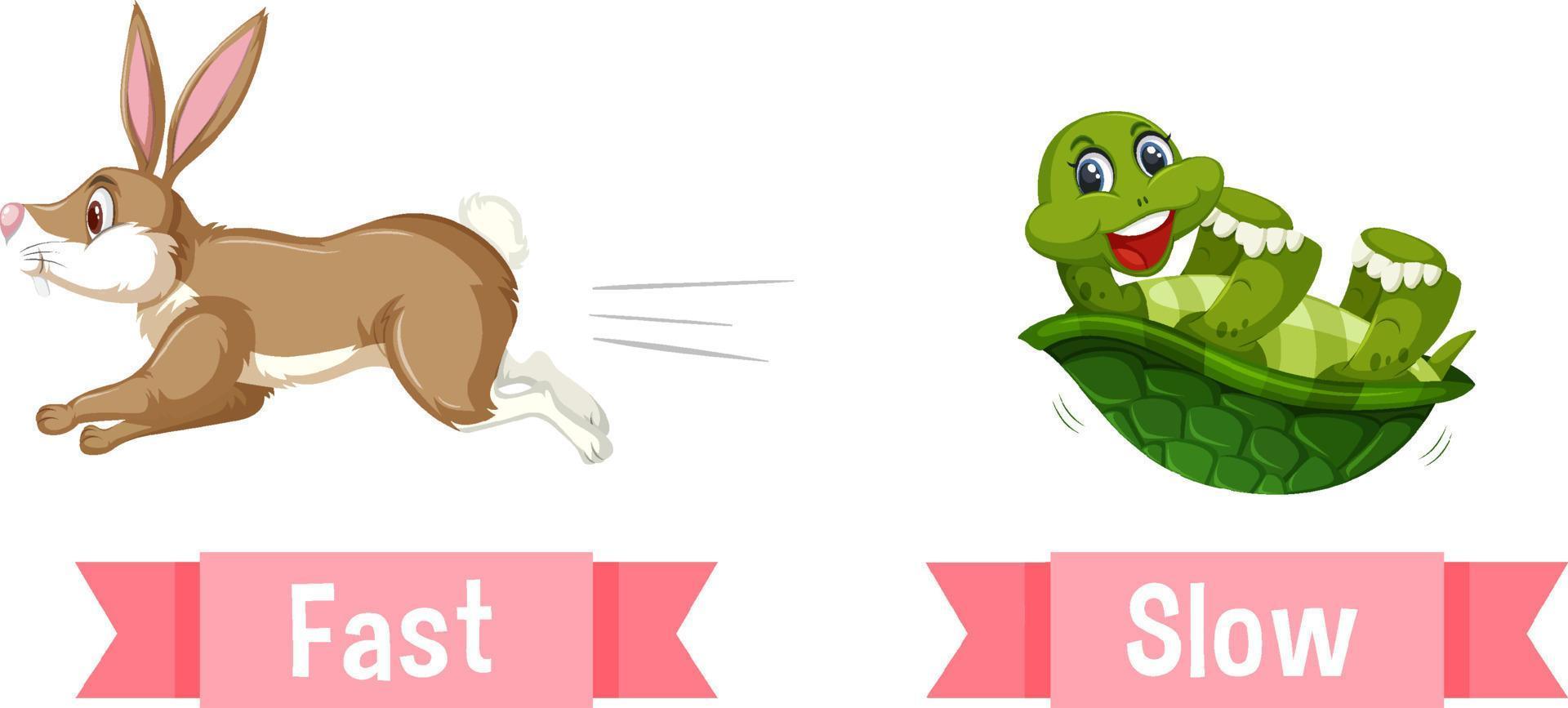Opposite English Words fast and slow vector
