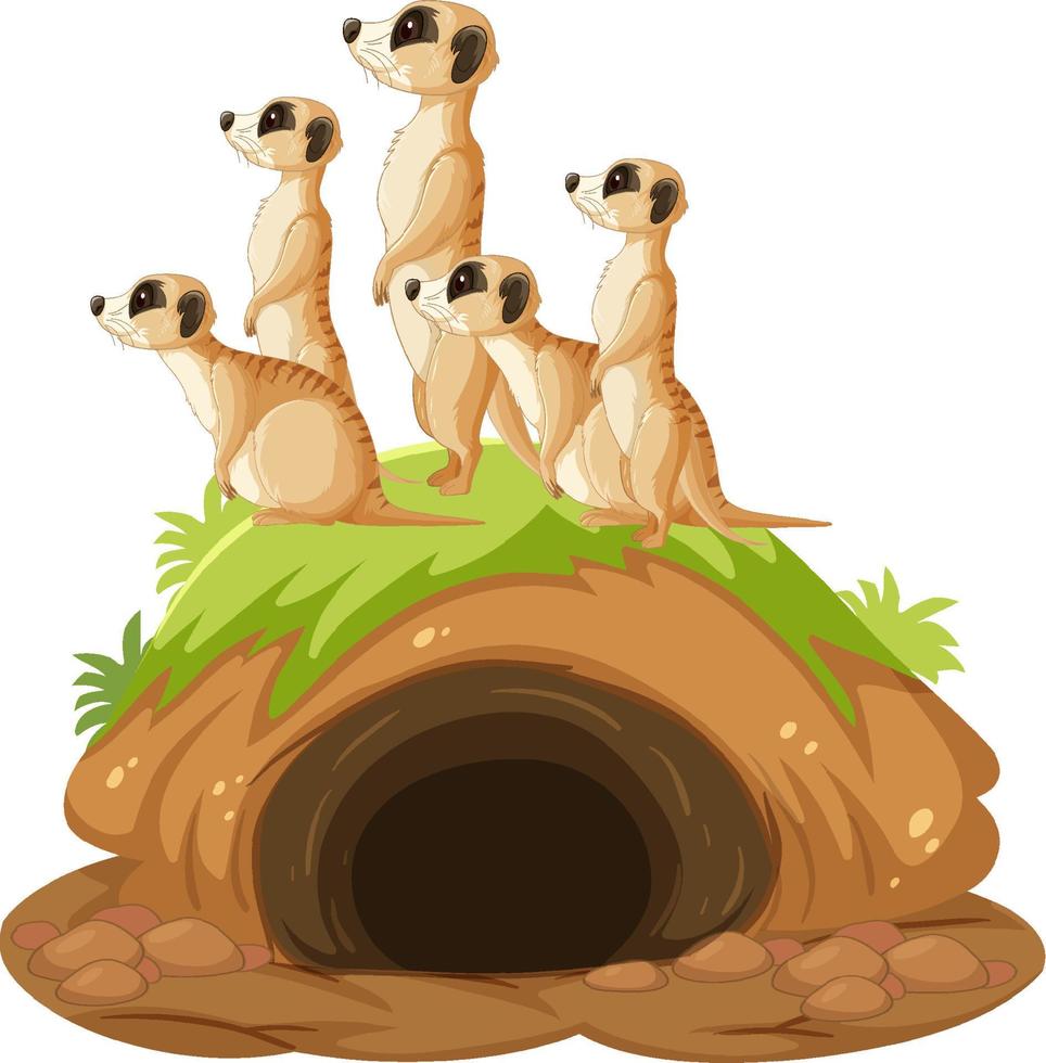 Group of meerkats with burrow in cartoon style vector