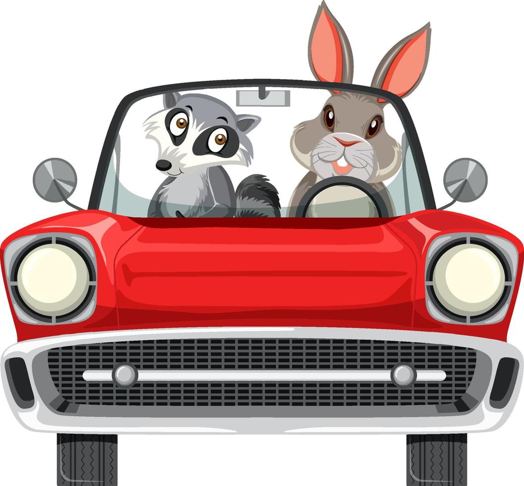 mapache y conejo en coche rojo clásico sobre fondo blanco vector