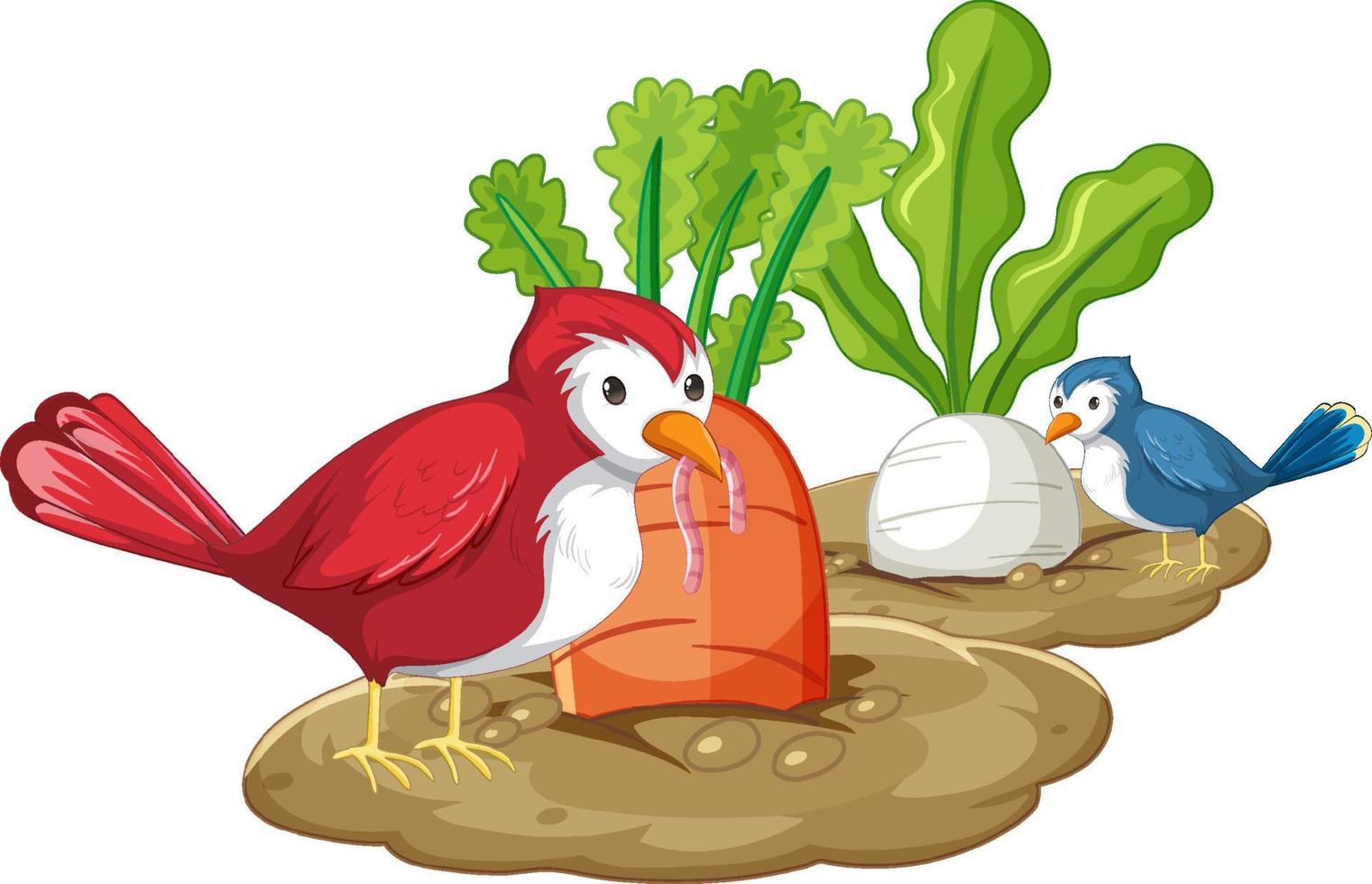 Two birds eating worm in garden vector