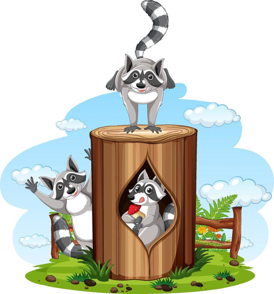 Three raccoons playing in the park vector