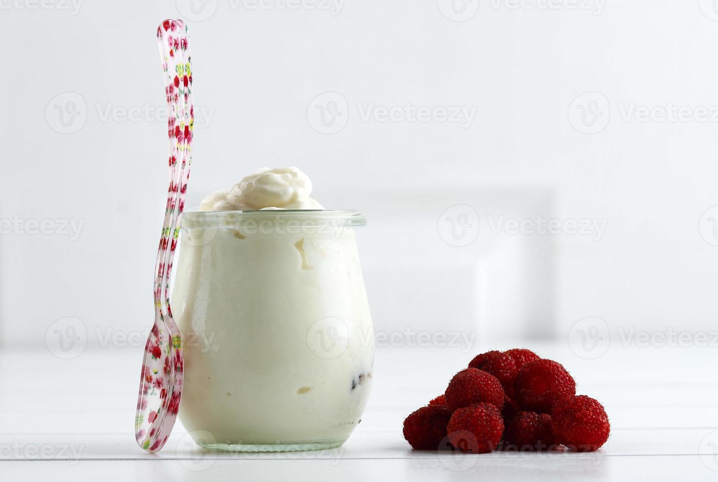 Plain Greek Yogurt with Raspberries photo