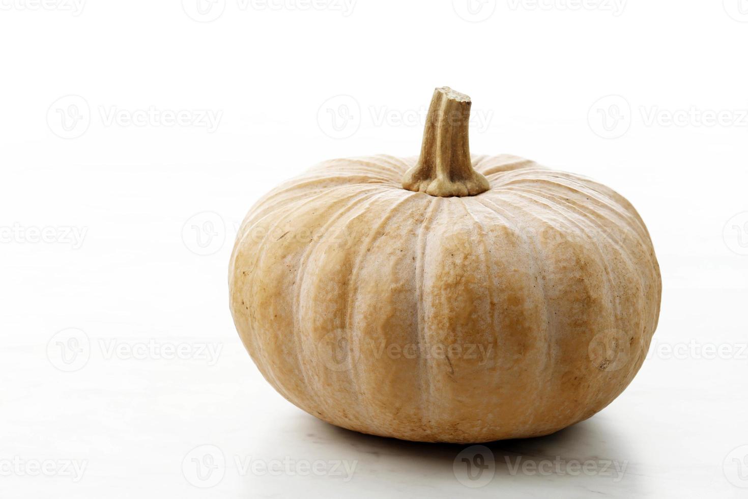 calabaza amarilla o labu kuning o waluh cucurbita moschata durch foto