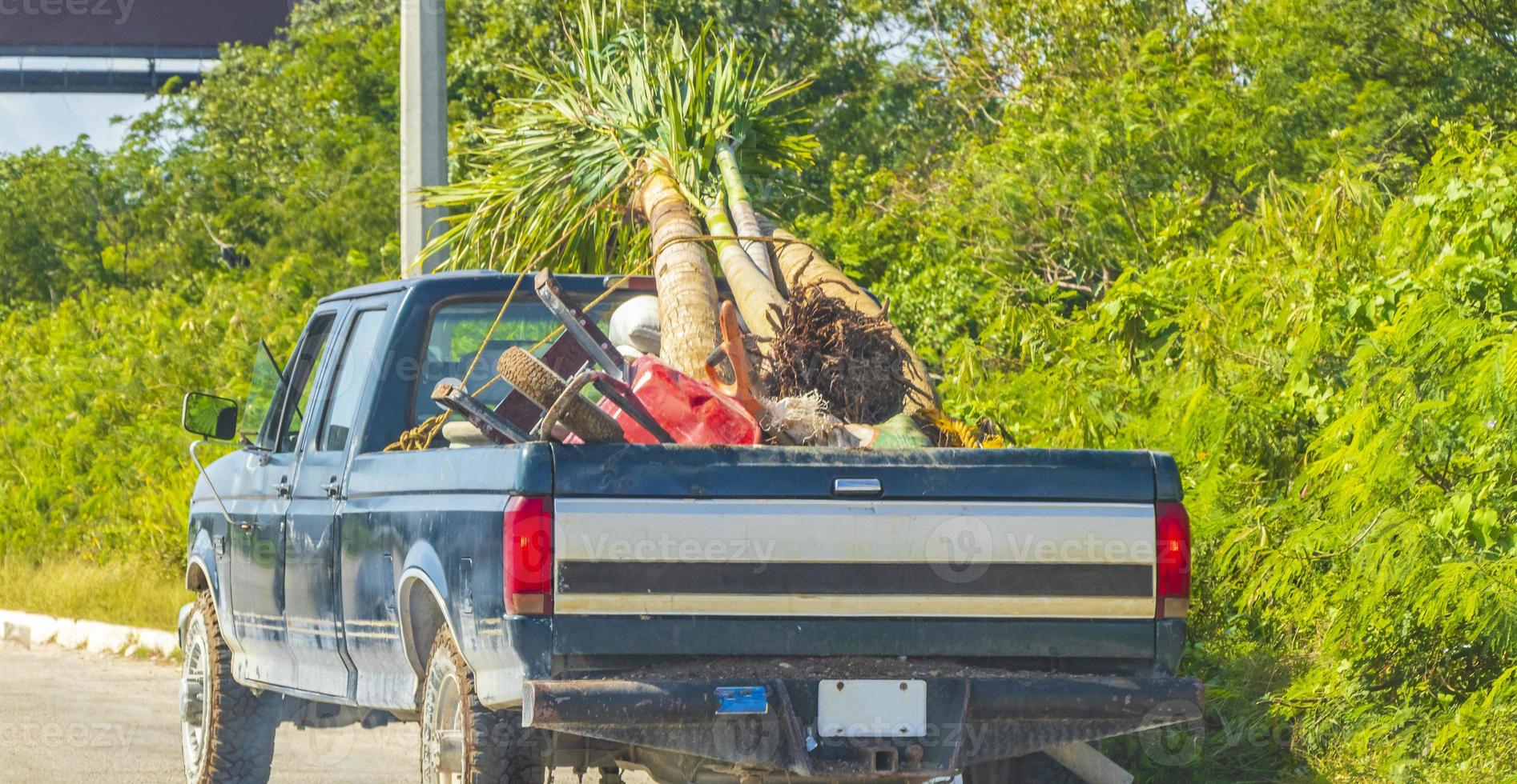 Old dirty american pick up truck car with palm trees on truck bed photo