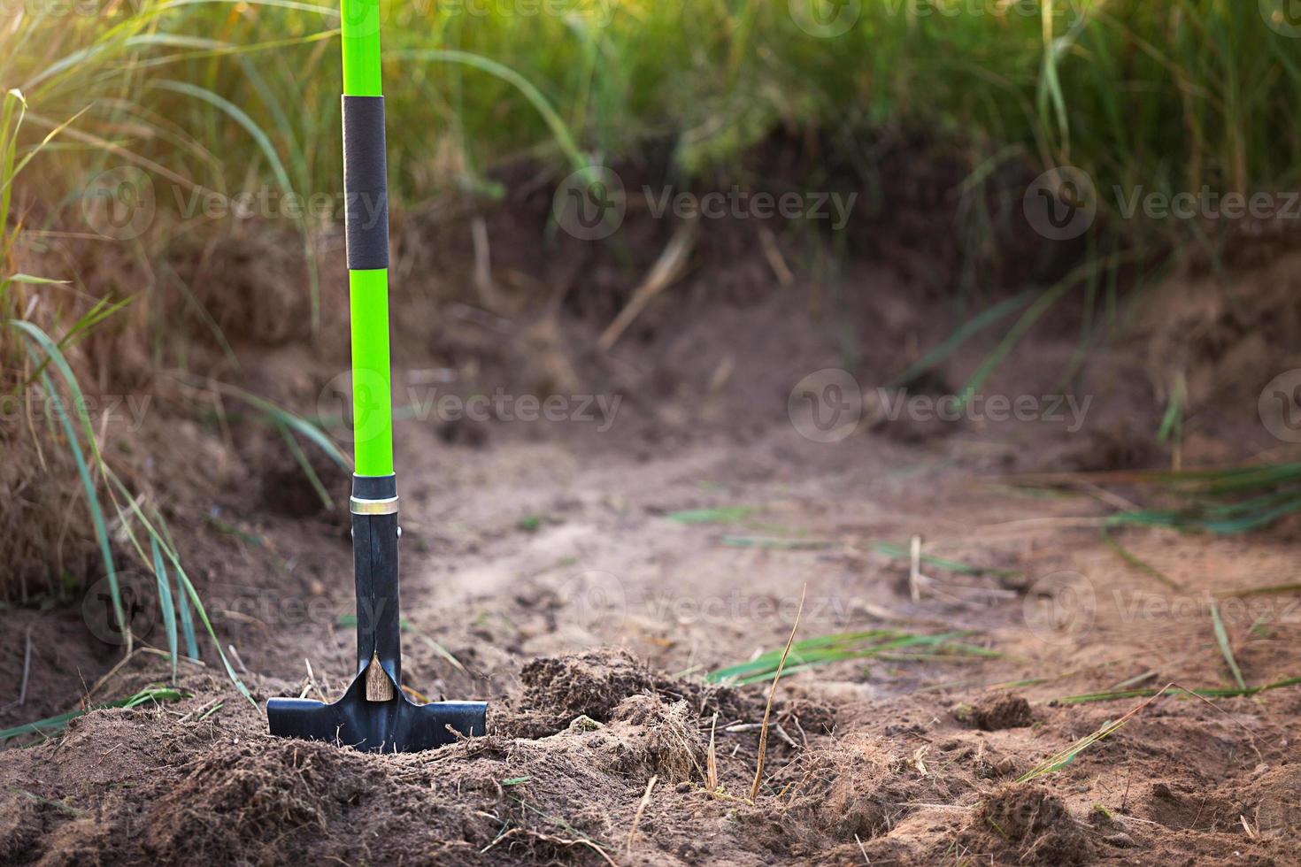 Shovel is inserted into the ground for planting in the spring. Springtime, garden plants, working on a plot of land, landscaping, gardening, growing flowers, fruit crops in the garden. Copy space photo