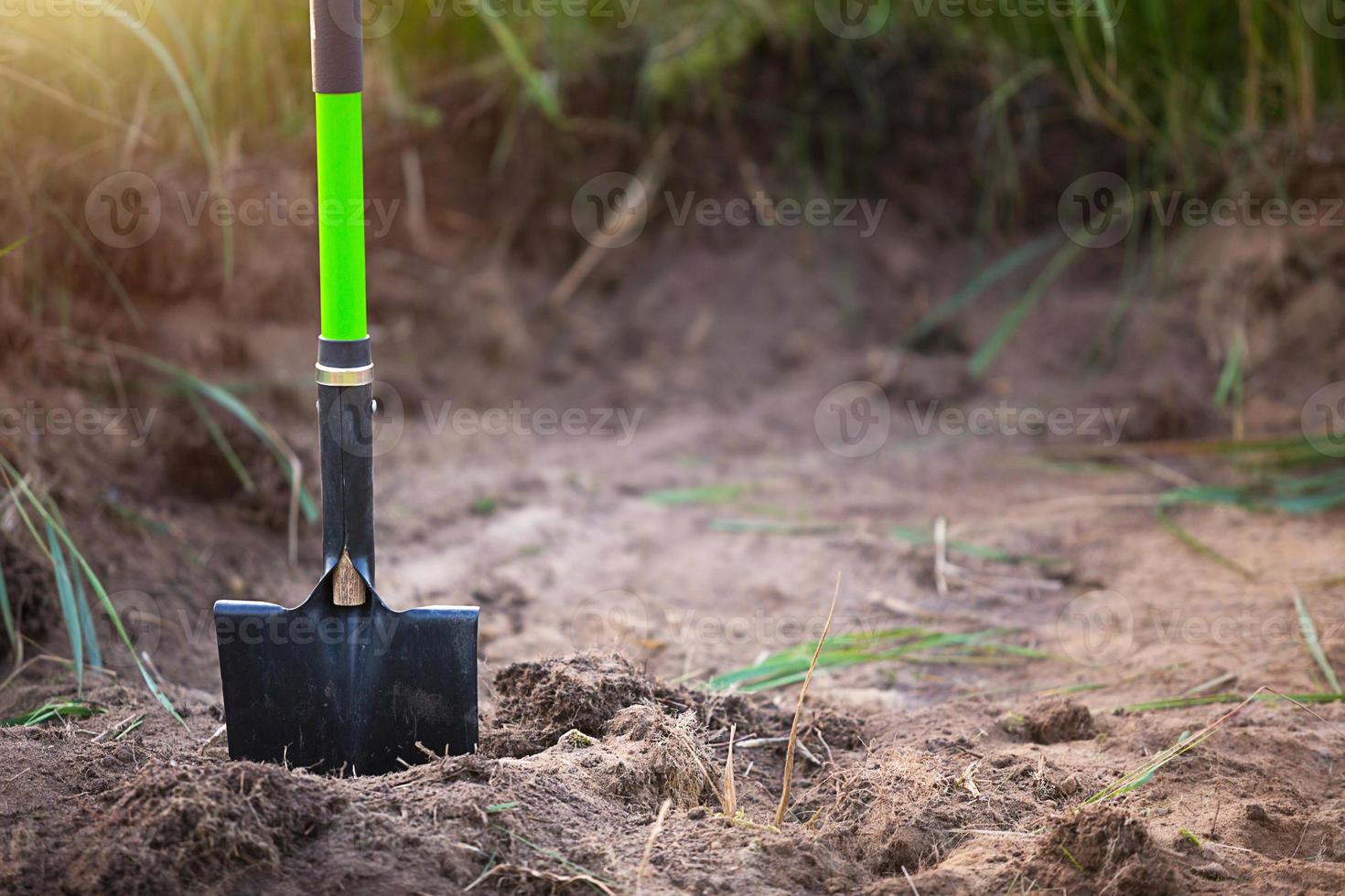 Shovel is inserted into the ground for planting in the spring. Springtime, garden plants, working on a plot of land, landscaping, gardening, growing flowers, fruit crops in the garden. Copy space photo