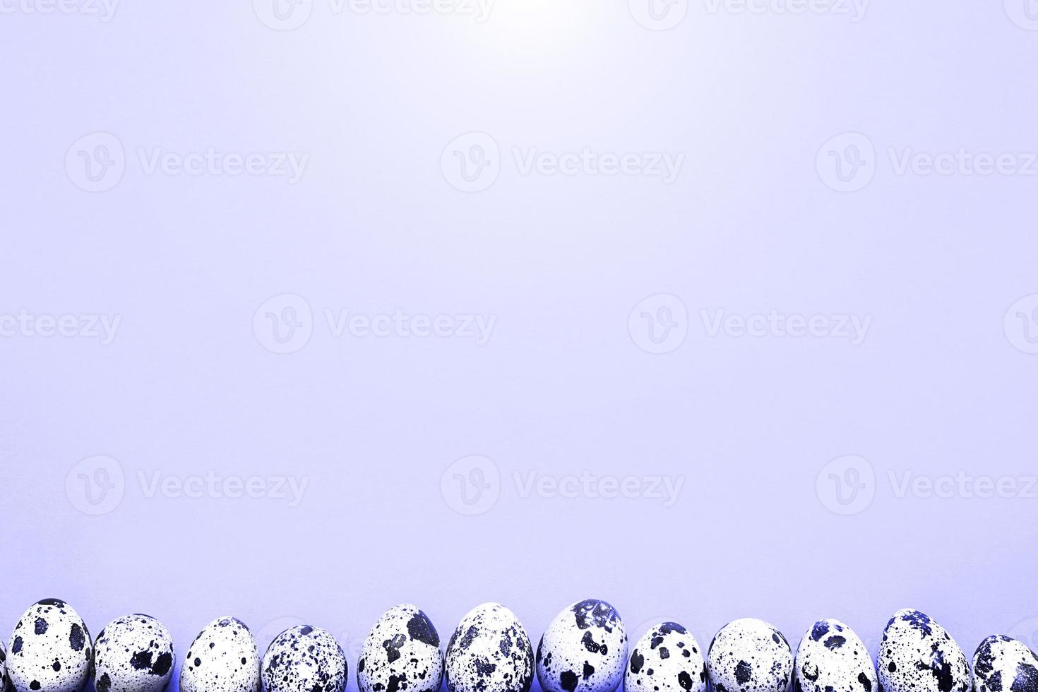 Easter spring background with egg. Spotted quail eggs on a yellow background on the lower border of the frame. Copy space, banner photo