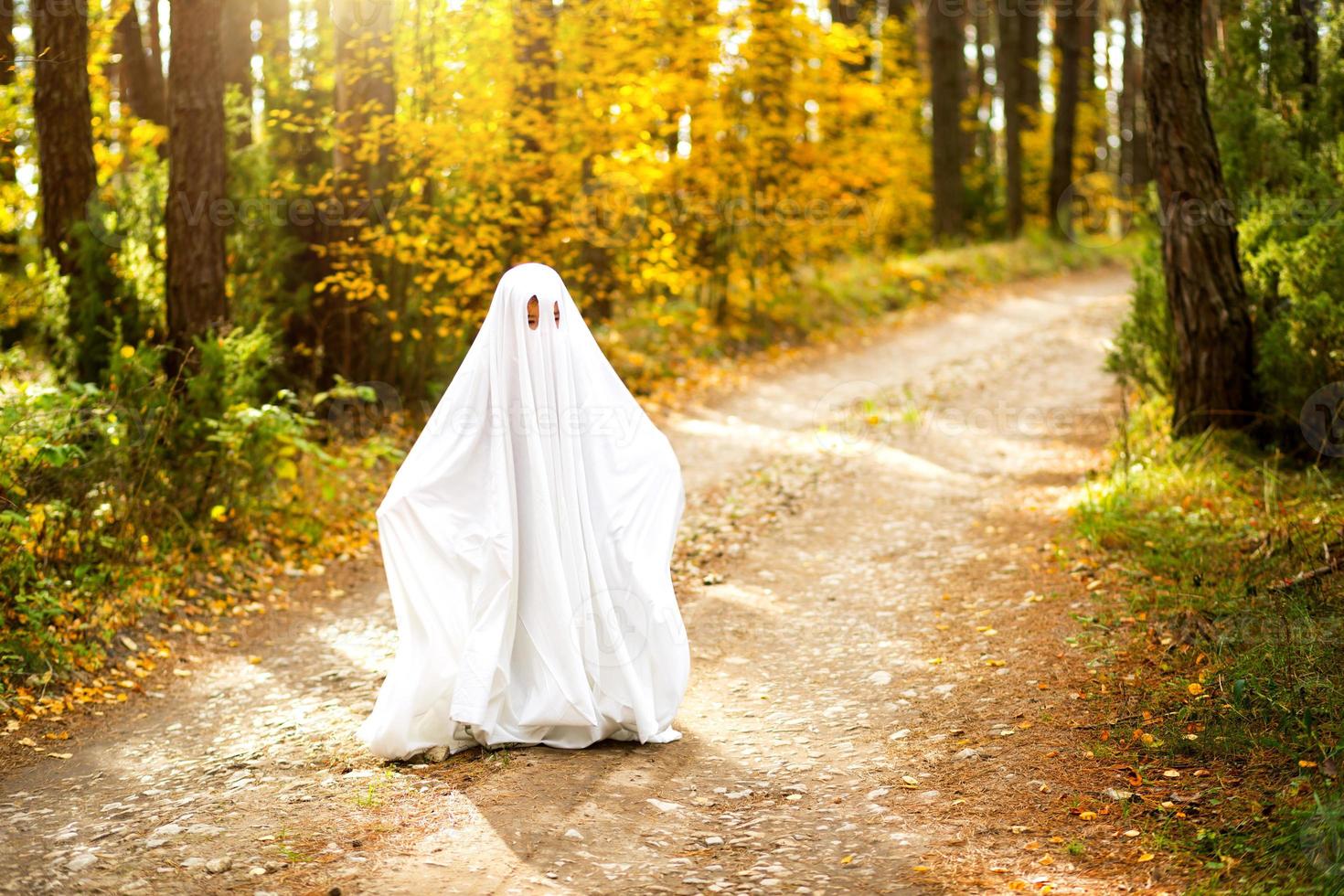 A child in sheets with slits like a ghost costume in an autumn forest scares and terrifies. A kind little ghost. Halloween Party photo