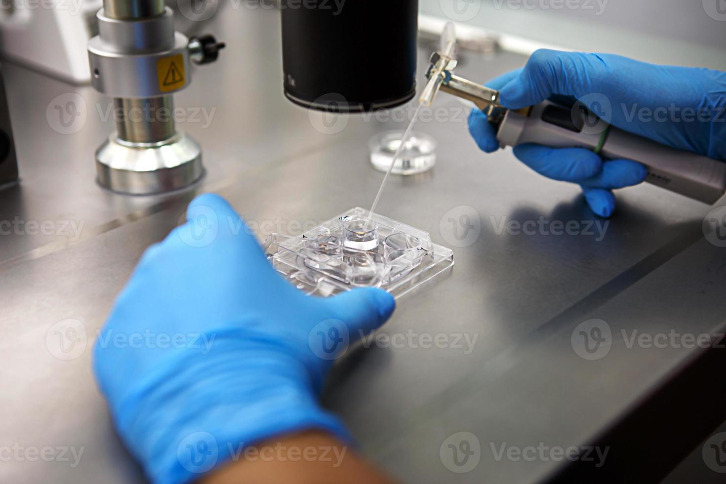 Hands of a scientist in the laboratory with a test tube and a microscope. The invention of the vaccine, a doctor in the clinic of artificial insemination IVF. Tests, fertilization of the egg photo