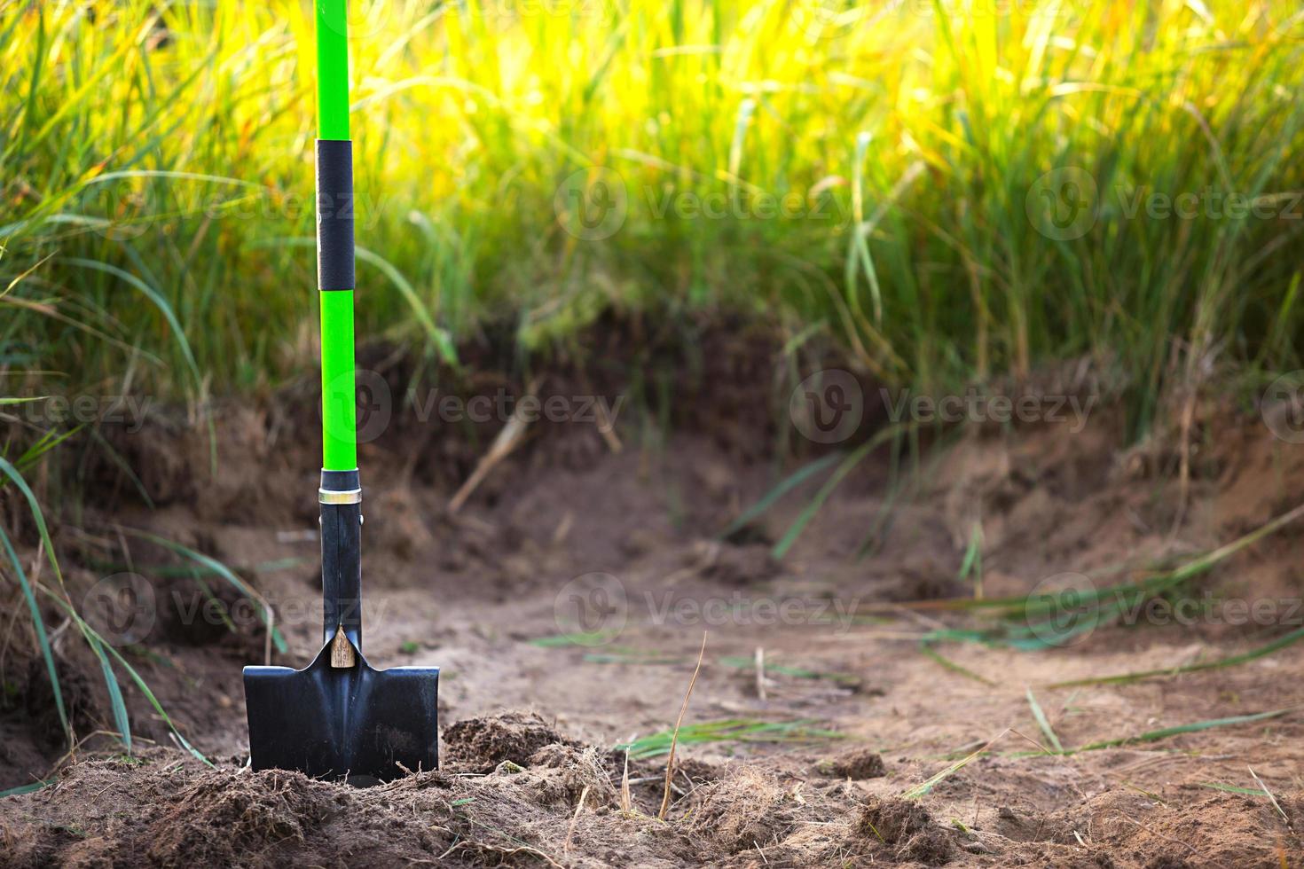 Shovel is inserted into the ground for planting in the spring. Springtime, garden plants, working on a plot of land, landscaping, gardening, growing flowers, fruit crops in the garden. Copy space photo