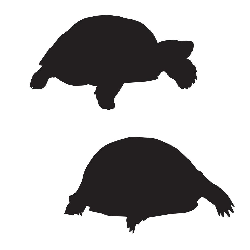 Turtle tortoise silhouette art vector