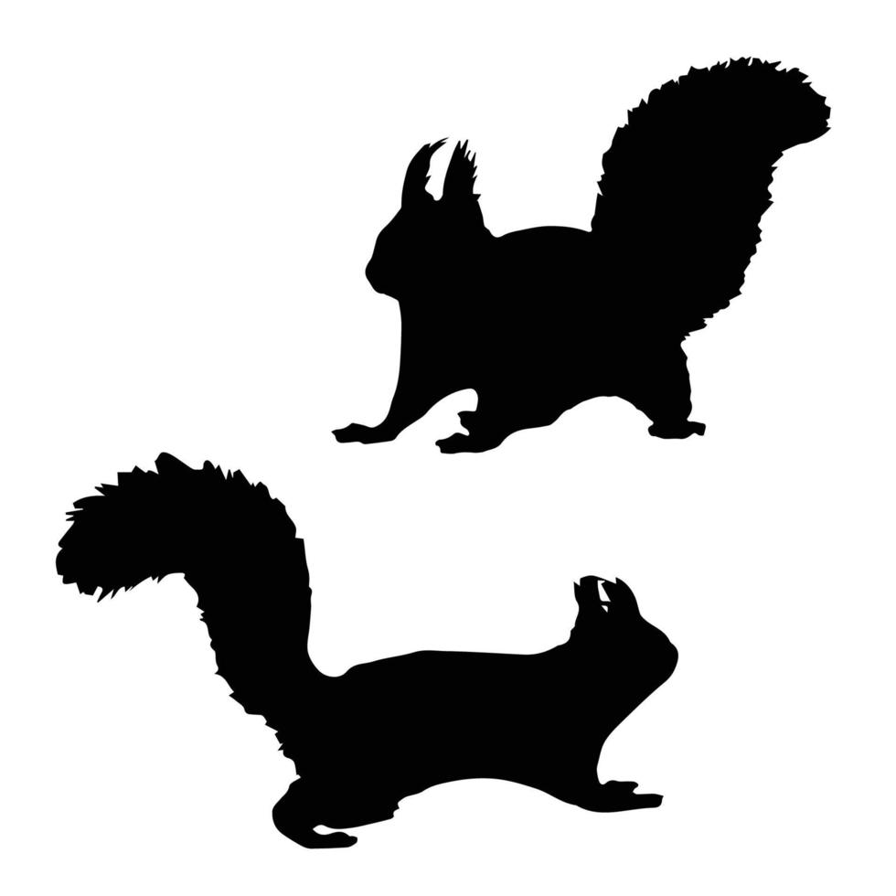 Squirrel silhouette Art vector