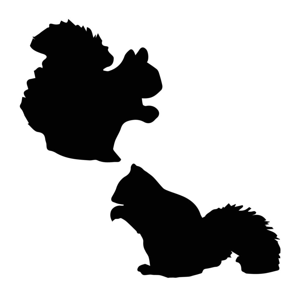 Squirrel silhouette Art vector