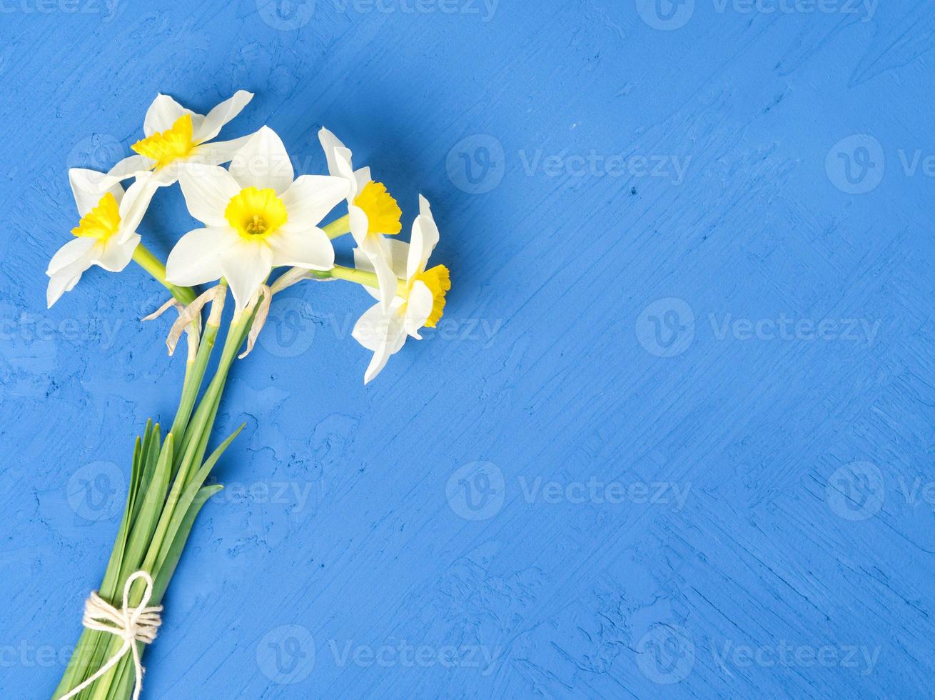 Bouquet of fresh flowers daffodils in blue textured background. Empty space, mock up, top view. photo