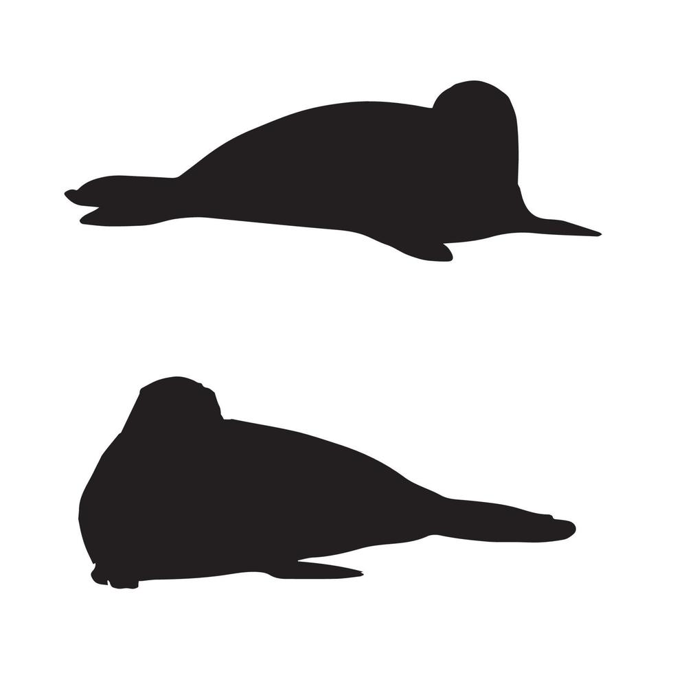 arte de silueta de foca vector