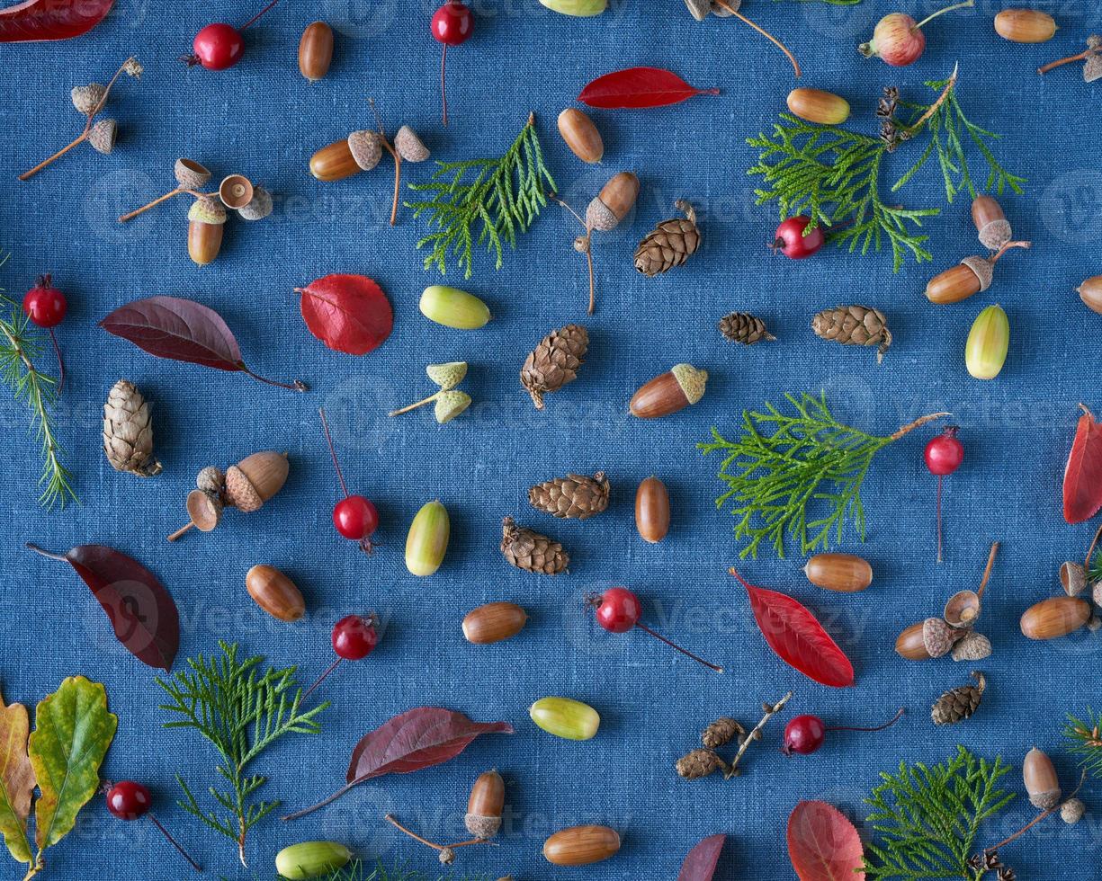 Autumn background of berries, small wild apples, acorns and leaves on bright blue background. photo