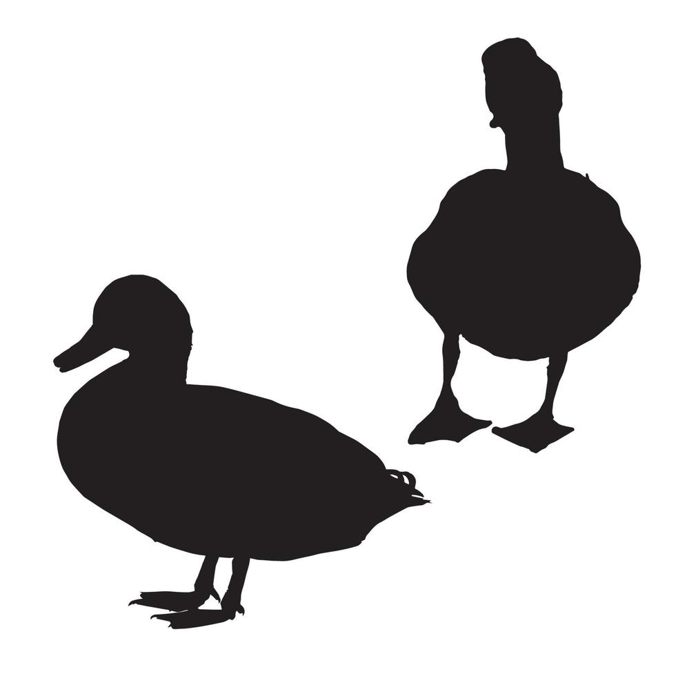 arte de silueta de pato vector