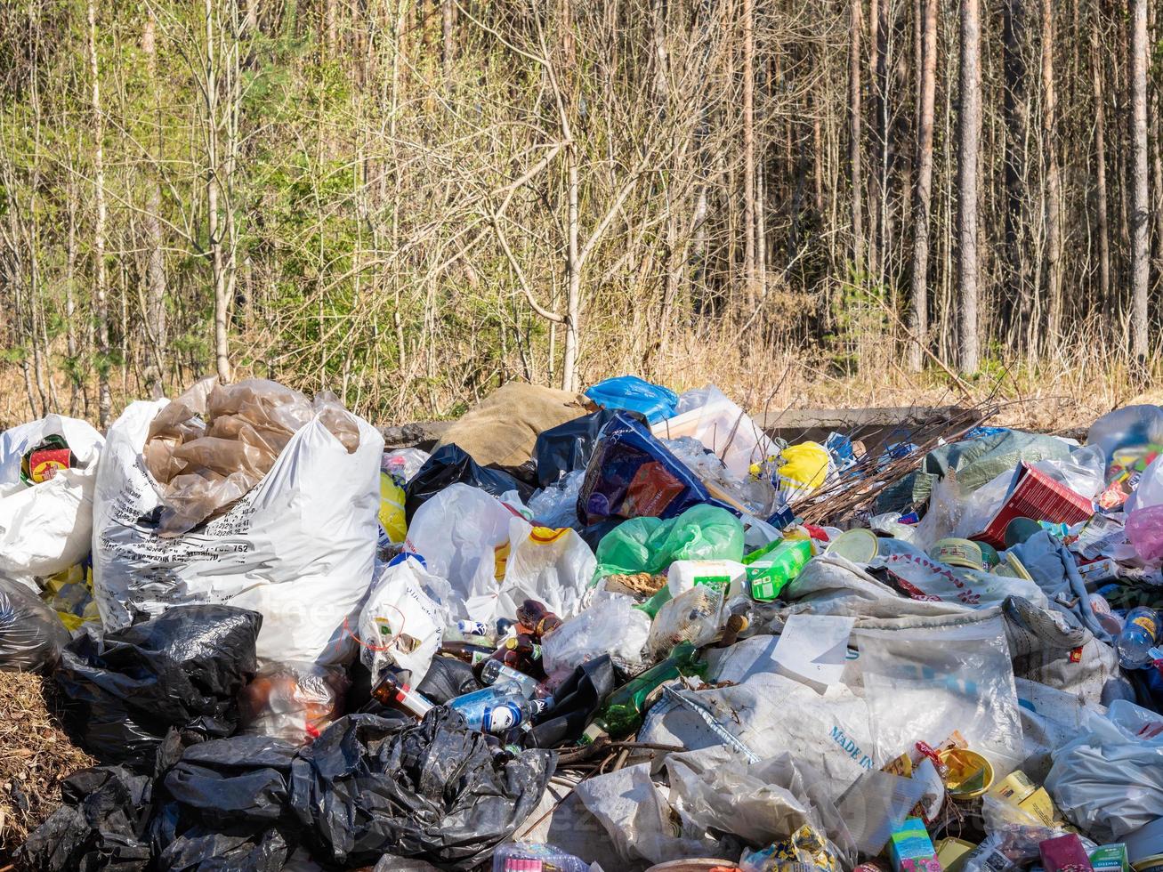 basurero, basura en la naturaleza, desastres ecológicos en el bosque foto