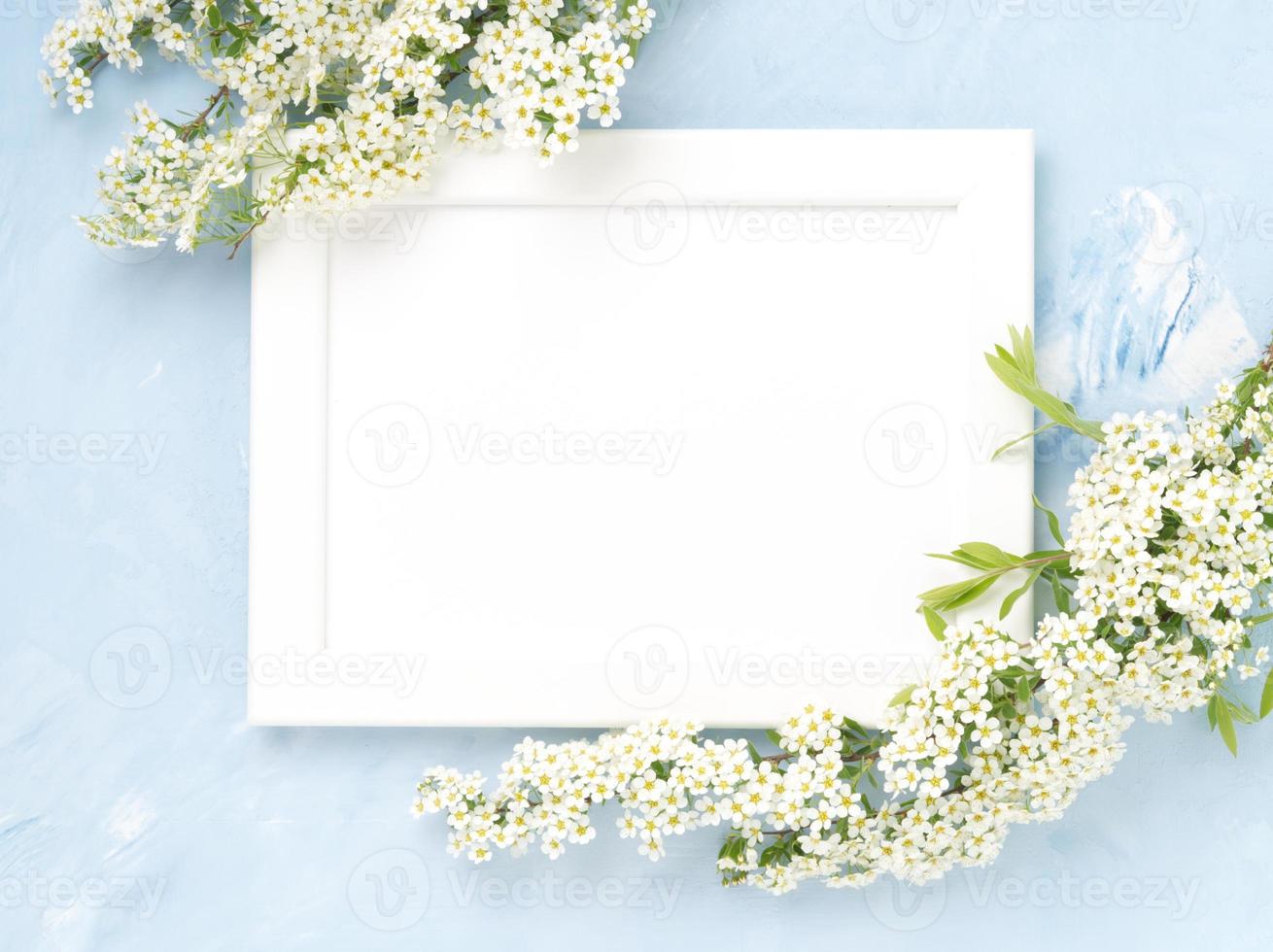 White flowers over the frame on blue concrete background. Backdrop with copy space photo