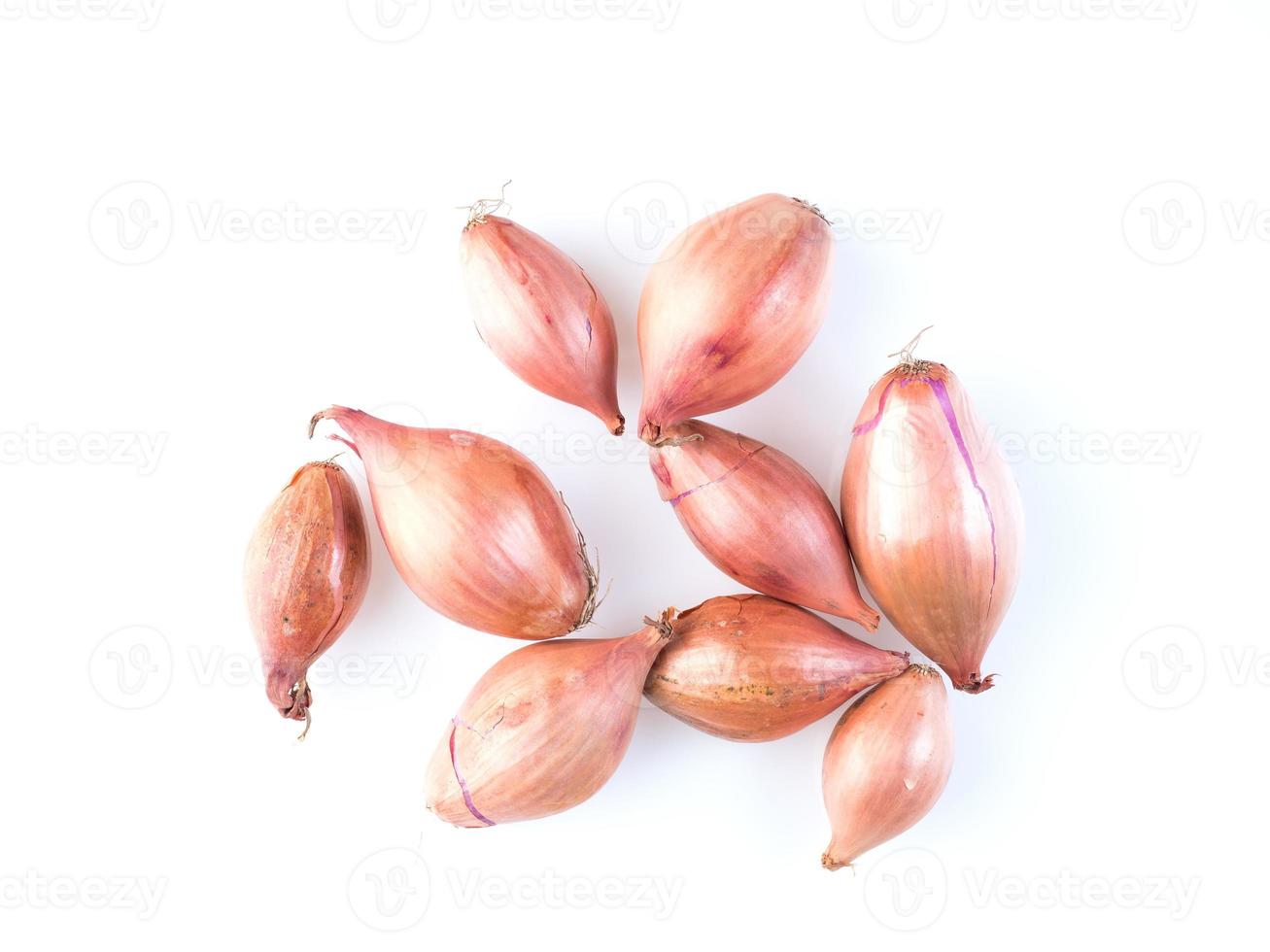 shallots onion on white background, bulbs, top view photo